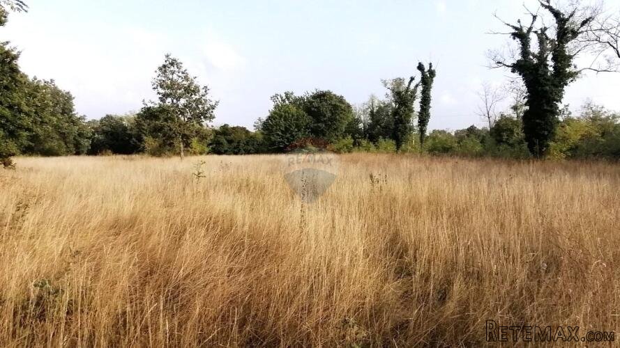 BADERNA, okolica- građevinsko zemljište stambene namjene - 3