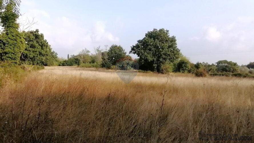 BADERNA, okolica- građevinsko zemljište stambene namjene - 4