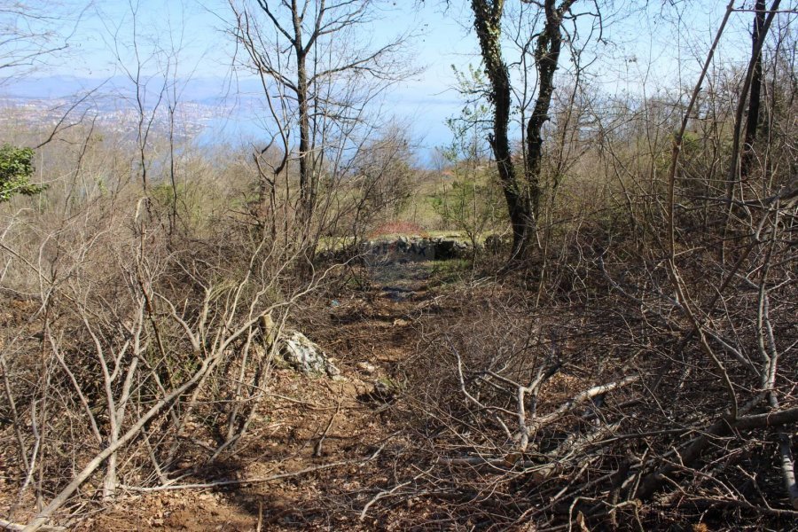 Bregi-Kožuli negrađevinsko zemljište 5562m/2 - 4