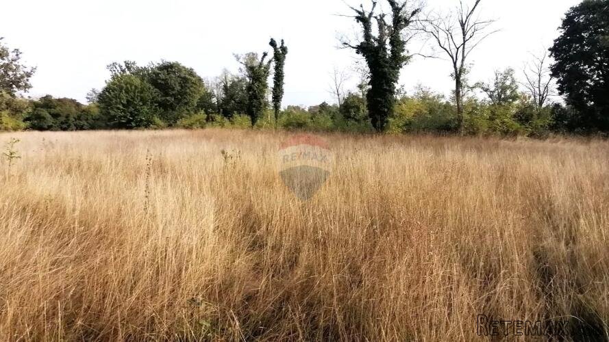 BADERNA, okolica- građevinsko zemljište stambene namjene - 5