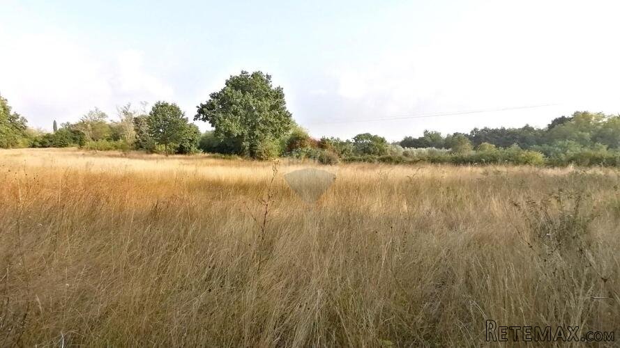 BADERNA, okolica- građevinsko zemljište stambene namjene - 6