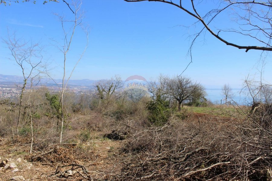 Bregi-Kožuli negrađevinsko zemljište 5562m/2 - 6