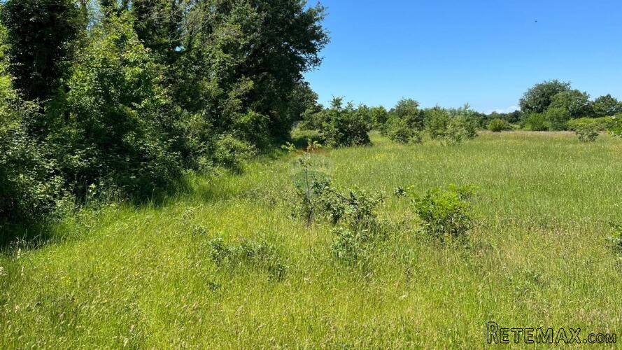 Gradina - okolica, poljoprivredno zemljište ukupne kvadratur