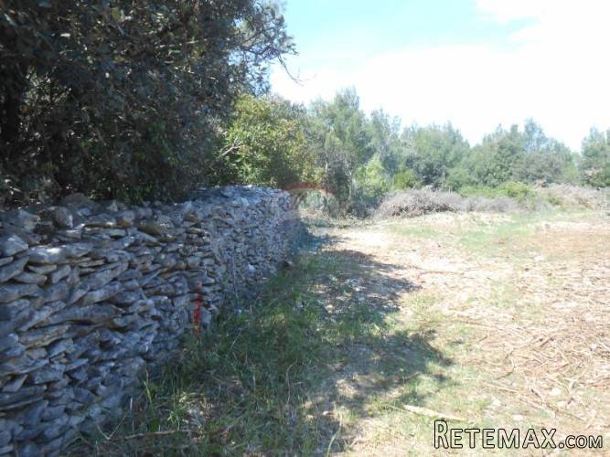 Istra, Marčana, Kavran, parcelirano poljoprivredno zemljište