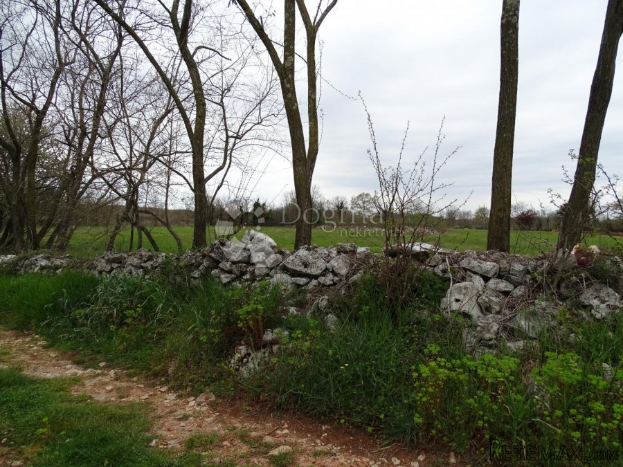 Žužići, Istra - teren za tri vile - 2