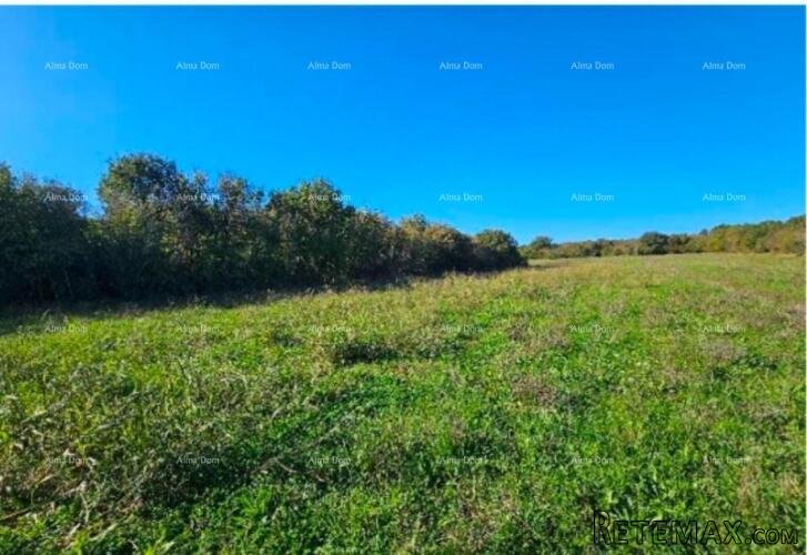 Prodaje se poljoprivredno zemljište, Marčana - 3