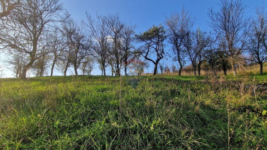 Gorski Kotar-Vrbovsko/građevinski teren - 5
