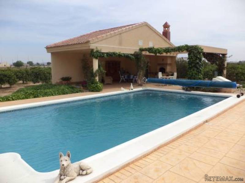 3 Bedroom 4 Bathroom Villa In Daya.. - 2