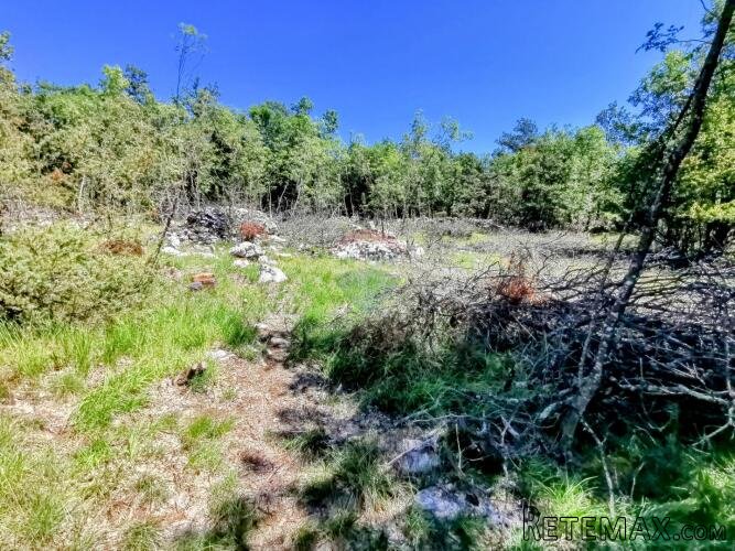 LIpa, poljoprivredno-šumsko zemljište površine 3298m2