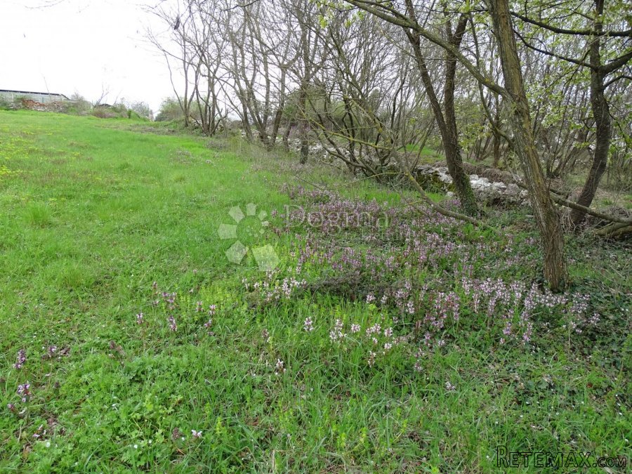 Žužići, Istra - teren za tri vile - 9