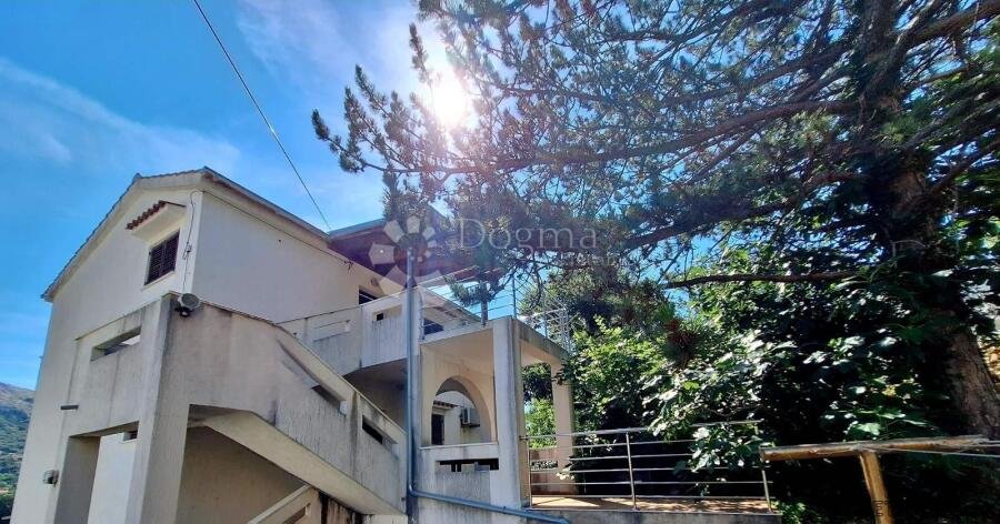 SAMOSTOJEĆA KUĆA SA 3 APARTMANA