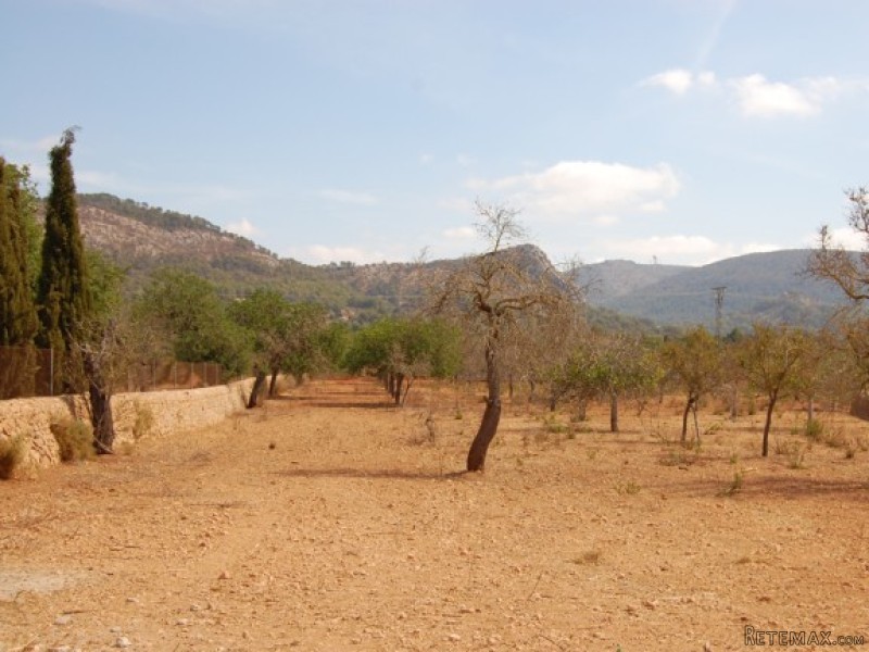 Big Building Plot In Llumajor