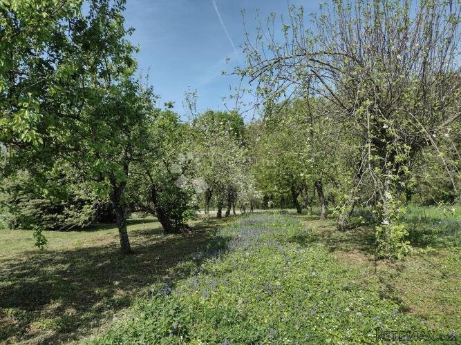 Klet u vikend naselju, voćnjak - 2