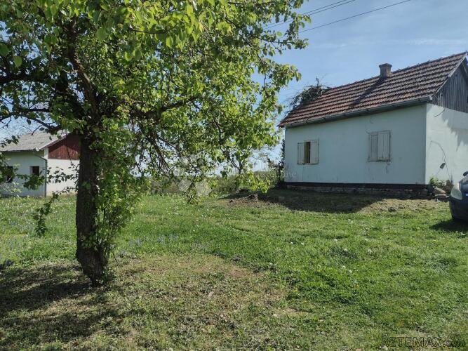 Klet u vikend naselju, voćnjak - 3