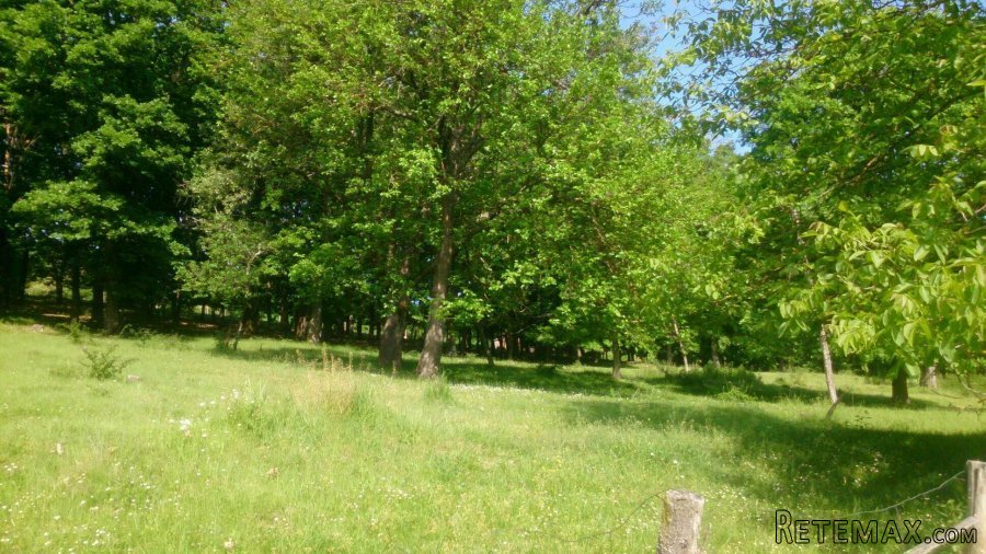 Seosko imanje - 5