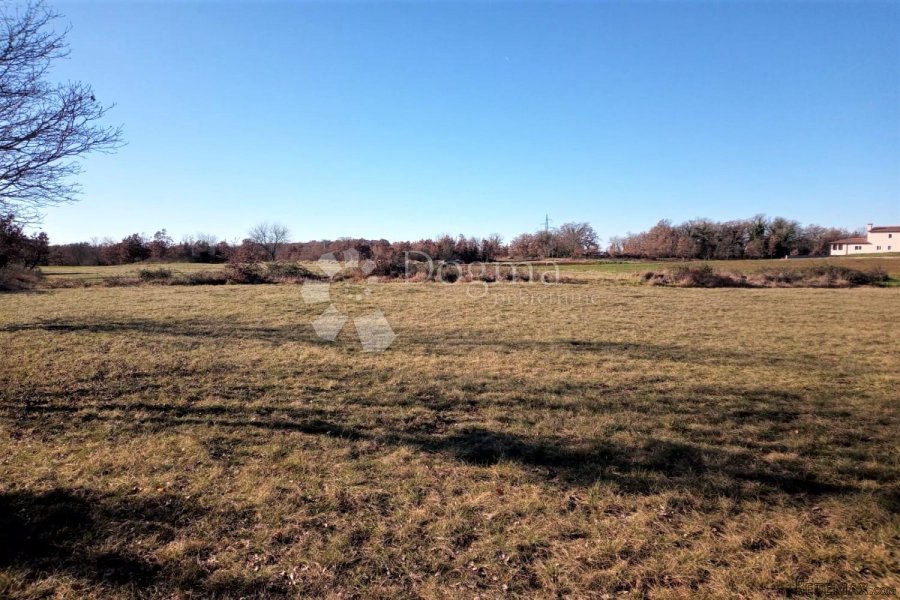 TINJAN – ravna parcela, pravilnog oblika na rubu sela - 6