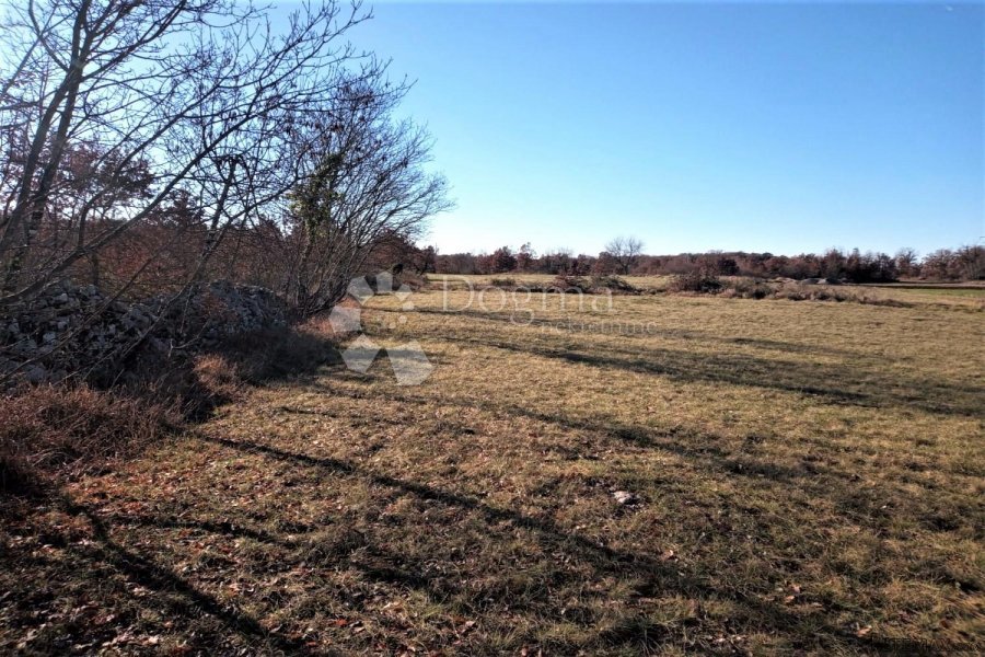TINJAN – ravna parcela, pravilnog oblika na rubu sela - 7