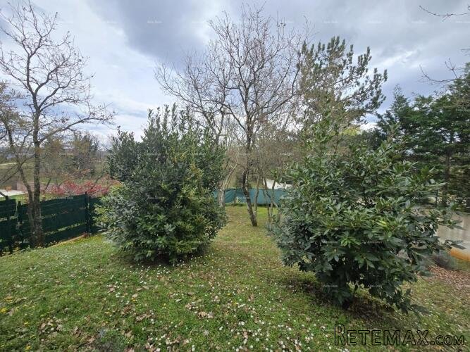 Blizina mjesta Marčane. Samostojeća kuća na velikoj parceli.. - 5