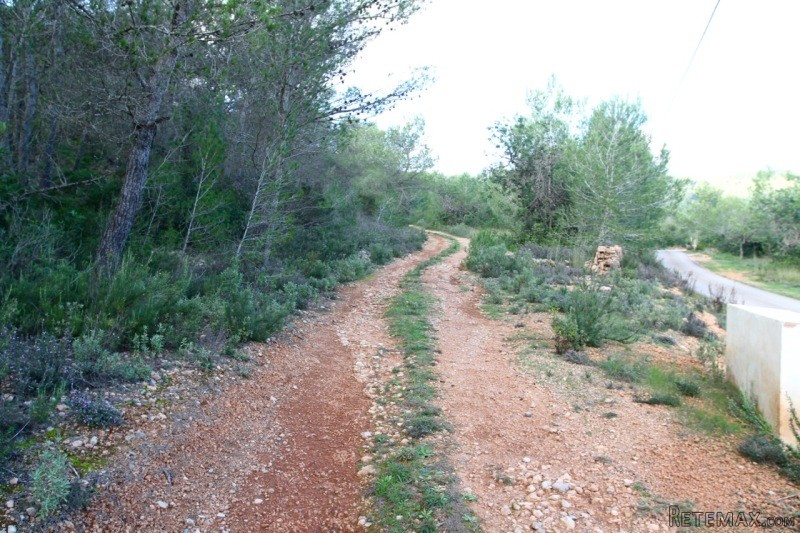 Land near Bambuddah Grove - 2