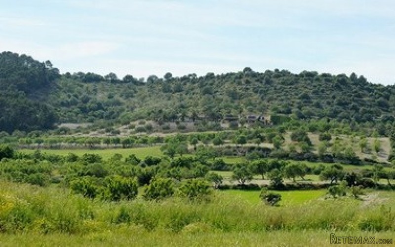 Imperial Properties Santa Ponsa - Finca..