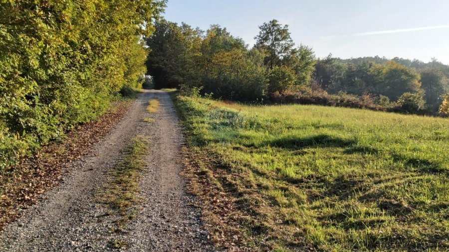 Zagreb, Donji Trpuci, poljoprivredno zemljište 2536 m2 - 6
