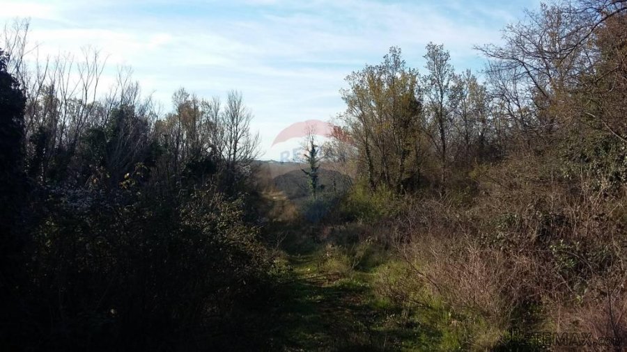 Istra, Umag - Savudrija, fantastična pozicija! - 7