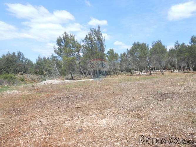 Istra, Marčana, Kavran, parcelirano poljoprivredno zemljište - 5