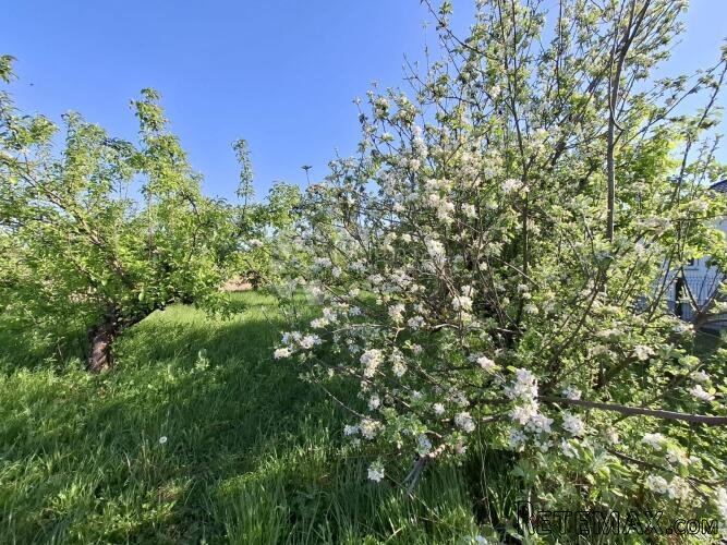 Mirna lokacija u Đakovu s voćnjakom! - 2
