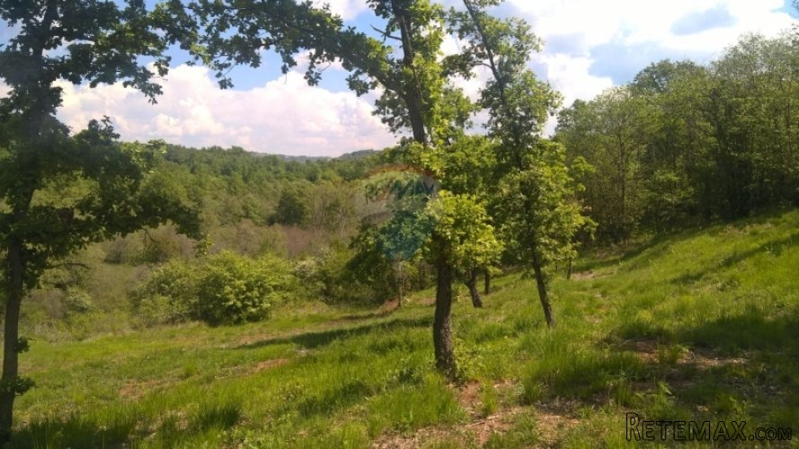 Buje, građevinsko zemljište, 7000m2 - 4