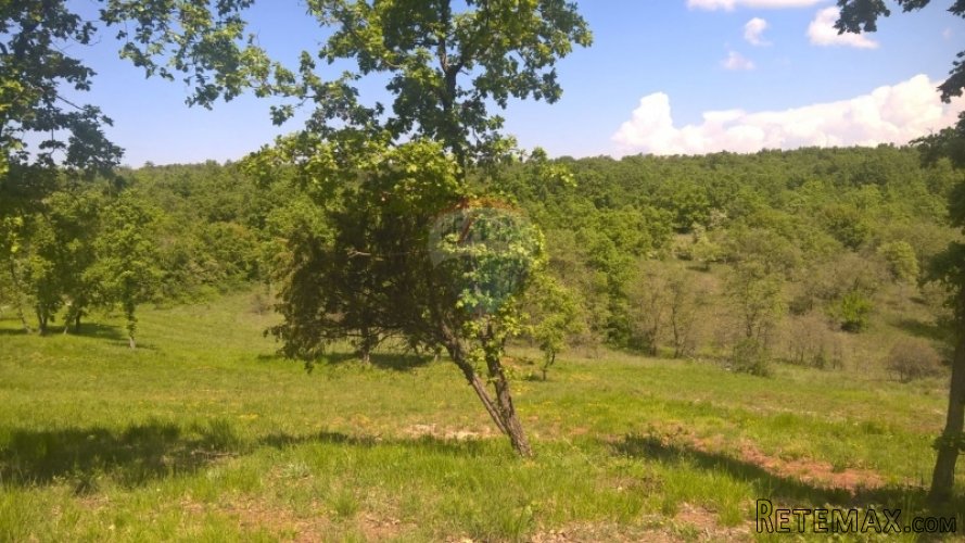 Buje, građevinsko zemljište, 7000m2 - 3