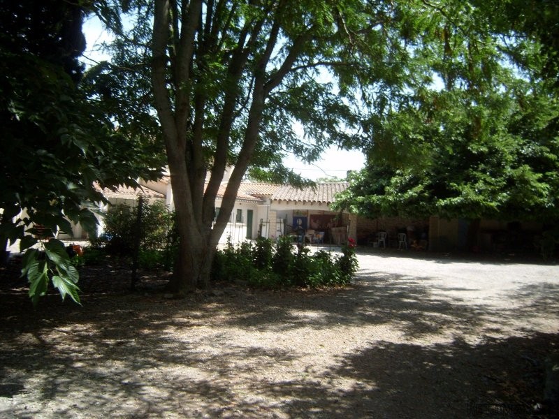Villa - Languedoc-Roussillon - For Sale - 2