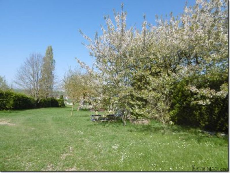 Beautiful House in Great Location - 2