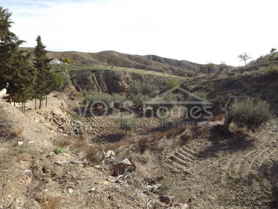 Large approx 150m2 country house to renovate on rustic land.. - 5