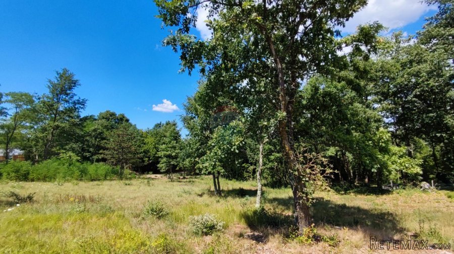 Istra, Karojba, građevinsko zemljište 1524 m2 - 2