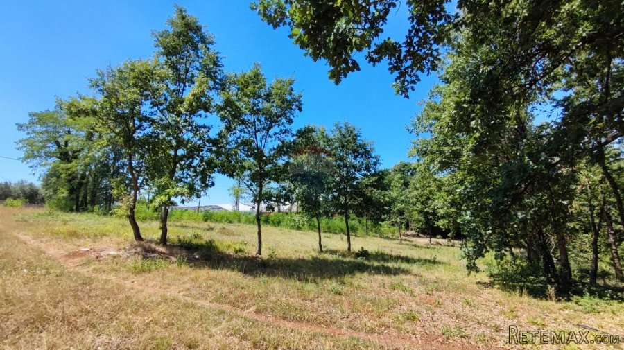 Istra, Karojba, građevinsko zemljište 1524 m2 - 3