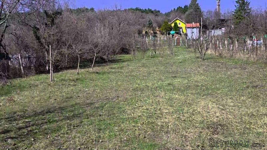 Plac za turističko-rekreativni kompleks u blizini Novog Sada - 3