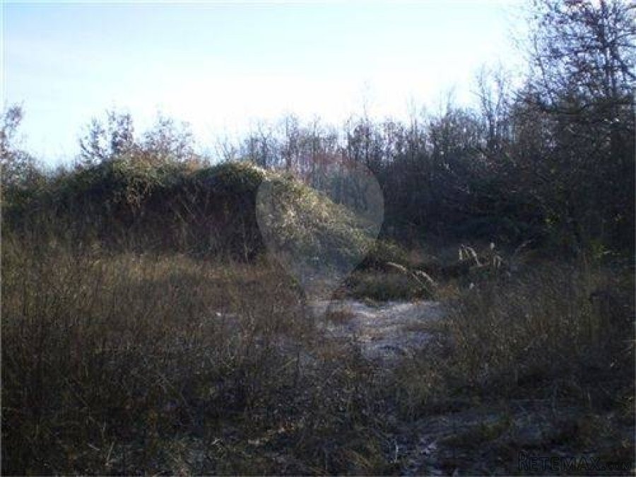 Građevinski teren u Rešetarima - 4