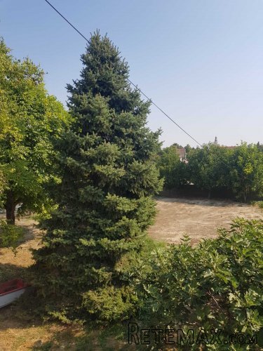 Prodajem kucu u Starim Banovcima - 5