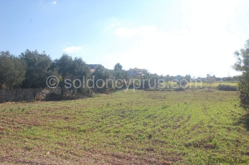 - Land - Paphos - For Sale