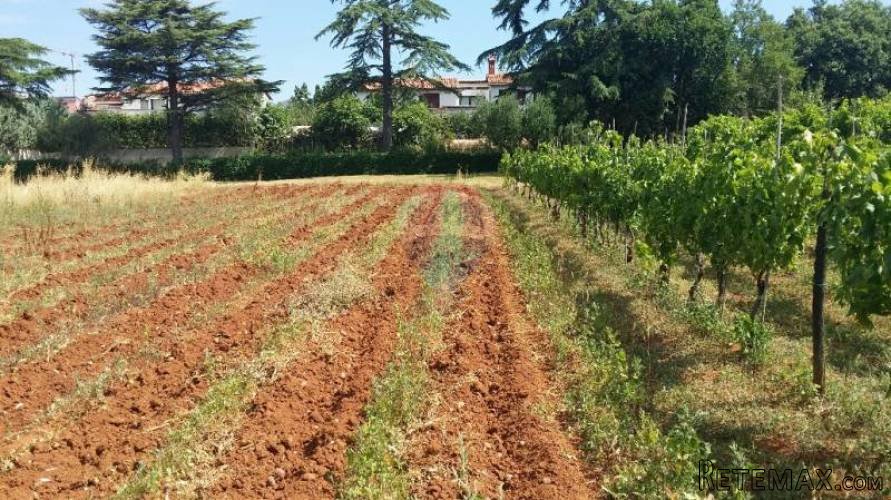 Pula, Veli vrh, građevinsko zemljište - 3