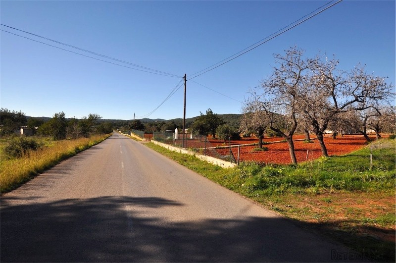 Property - Ibiza - For Sale - 2