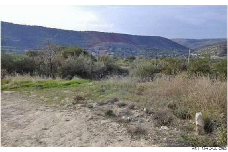 Land - For Sale - Palodeia, Limassol