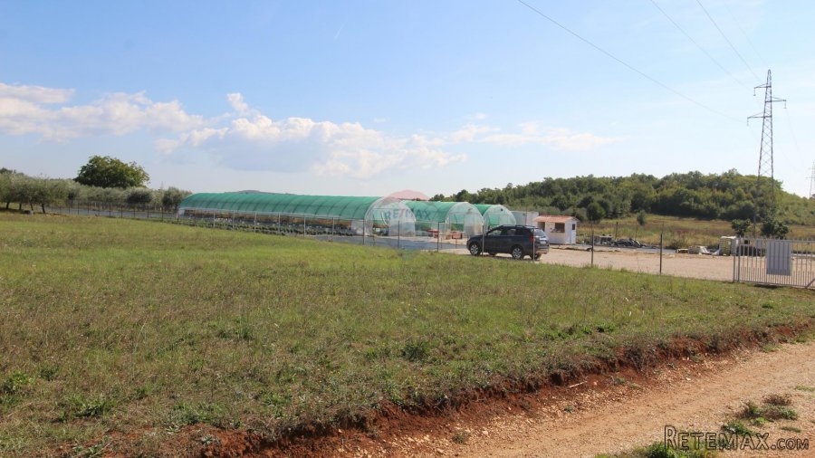 Istra, Poreč, Parcela u okolici Poreča od 10.197 m2 s 3 plas - 3