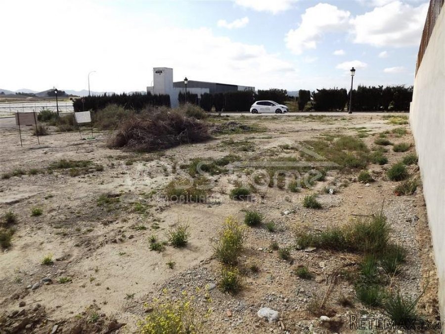 Urban building plot of 468m2 on the edge of Huercal-Overa.. - 4