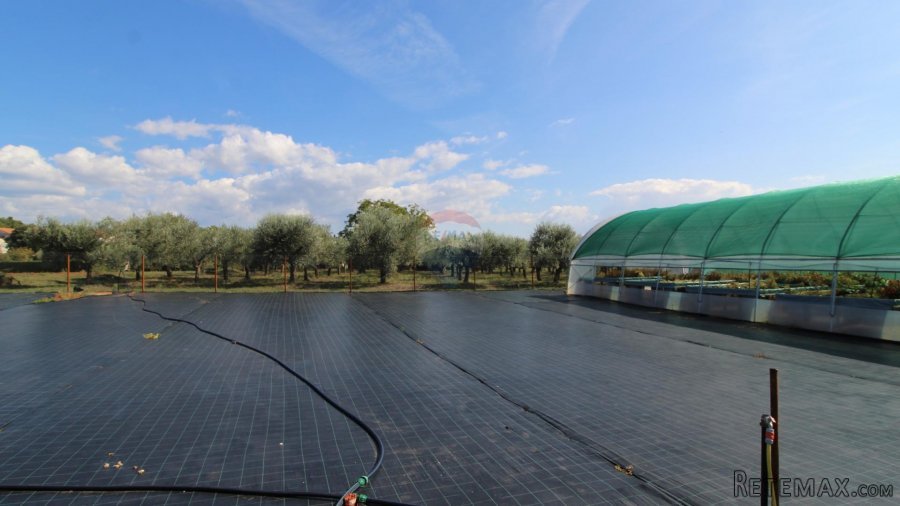 Istra, Poreč, Parcela u okolici Poreča od 10.197 m2 s 3 plas - 5