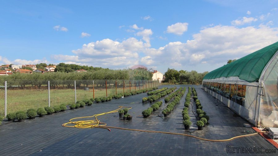 Istra, Poreč, Parcela u okolici Poreča od 10.197 m2 s 3 plas - 6