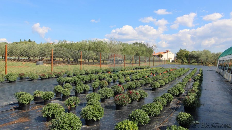 Istra, Poreč, Parcela u okolici Poreča od 10.197 m2 s 3 plas - 7