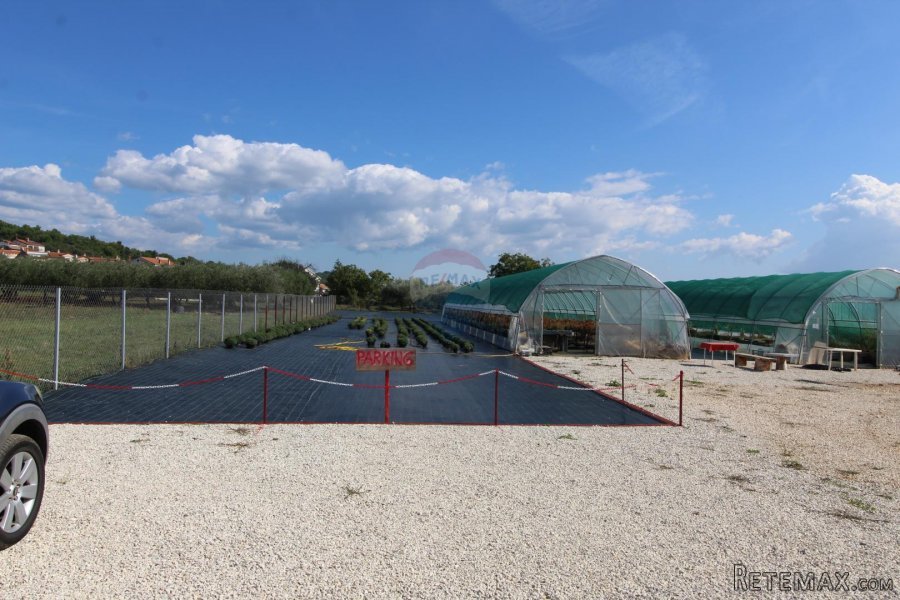 Istra, Poreč, Parcela u okolici Poreča od 10.197 m2 s 3 plas - 8