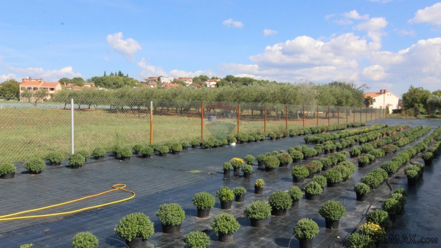 Istra, Poreč, Parcela u okolici Poreča od 10.197 m2 s 3 plas - 9