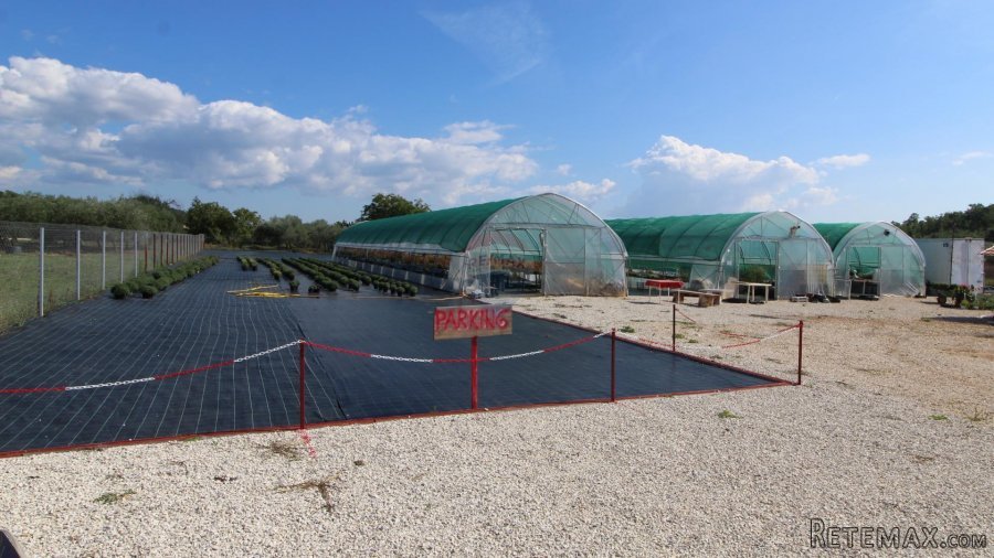 Istra, Poreč, Parcela u okolici Poreča od 10.197 m2 s 3 plas - 10